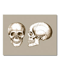 The human skull singularly and in groups, in various colors and arrangements. Greetings cards.