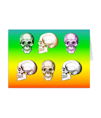 The human skull singularly and in groups, in various colors and arrangements. Greetings cards.