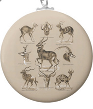 Key chains with antelope designs