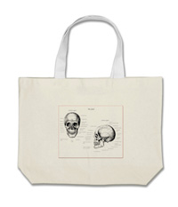 Details of the human skull singularly and in groups, in various colors and arrangements. Tote bags.