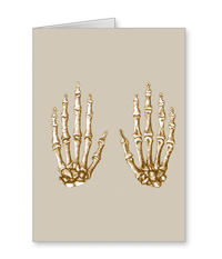 cards of Bones of the human hand