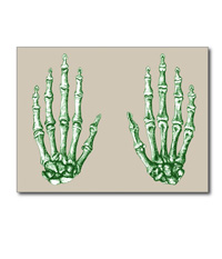 cards of Bones of the human hand