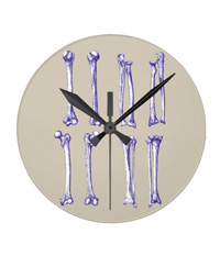 Bones of the human lower limb, clocks