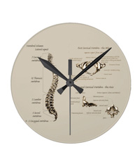 bones of the human body,  clocks