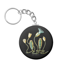 Keychains with jellyfish designs, based on the drawings of Ernst Haeckel