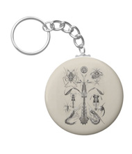 Keychains with crustacean designs, based on the drawings of Ernst Haeckel