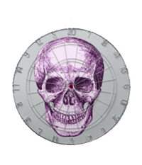 Details of the human skull singularly and in groups, in various colors and arrangements. Dart boards