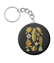 Keychains with fish designs, based on the drawings of Ernst Haeckel