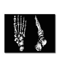 Greetings cards and post cards featuring the bones of the human foot
