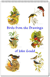 Calendar of bird drawings from John Gould