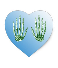 Bones of the human hand stickers
