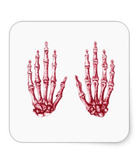 Bones of the human hand stickers