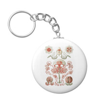 Keychains with jellyfish designs, based on the drawings of Ernst Haeckel