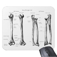 Bones of the human lower limb, mouse mats