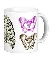 bones of the human body, mugs