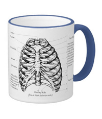bones of the human body, mugs