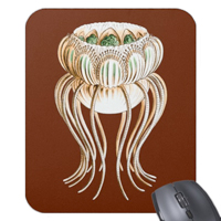 Narcomedusae. An order of jellyfish.