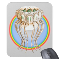 Narcomedusae. An order of jellyfish.