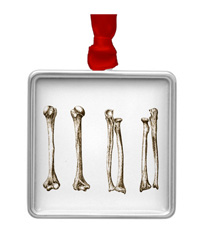 Bones of the human lower limb, ornaments