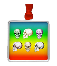 Details of the human skull singularly and in groups, in various colors and arrangements. Ornaments
