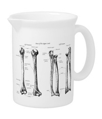 Bones of the human lower limb, teapots and pitchers