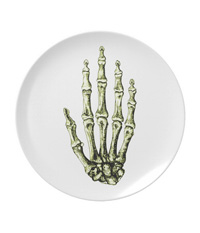 Bones of the human hand plates