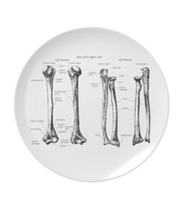 Bones of the human lower limb, plates