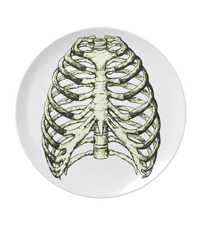 bones of the human body, plates