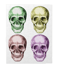Details of the human skull singularly and in groups, in various colors and arrangements. Jigsaw puzzles