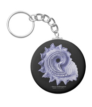 Keychains with shell designs, based on the drawings of Ernst Haeckel