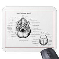 Details of the human skull singularly and in groups, in various colors and arrangements. Mousepads / mousemats
