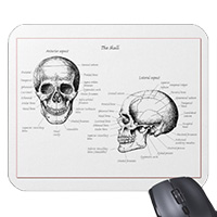 Details of the human skull singularly and in groups, in various colors and arrangements. Mousepads / mousemats