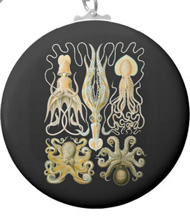Keychains with squid and octopus designs, based on the drawings of Ernst Haeckel