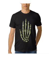 Bones of the human hand