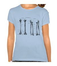 bones of the lower limb, tee-shirts