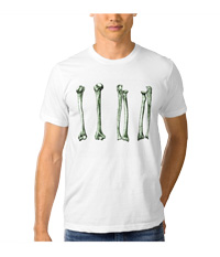 bones of the lower limb, tee shirts