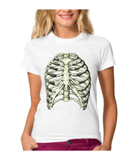 Bones of the human thorax