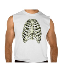 Human thorax bones