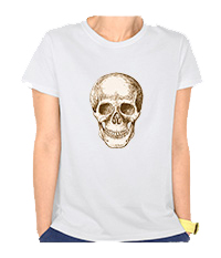 Details of the human skull singularly and in groups, in various colors and arrangements. Women's t-shirts.