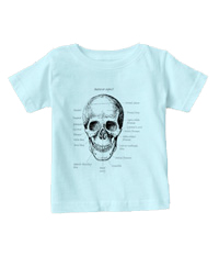Deatails of the human skull singularly and in groups, in various colors and arrangements. Kid's t-shirts